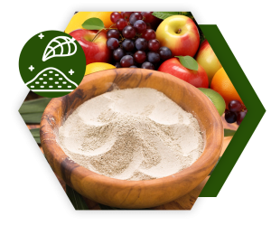 Vitamin and Food Extract Powder : วิตามินและสารสกัดผงสำหรับอาหาร