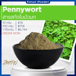 Pennywort Extract (Powder) : สารสกัดใบบัวบก(ผง)