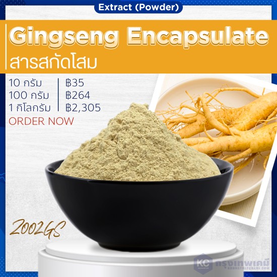 Gingseng Encapsulate (Powder) : สารสกัดโสม(ผง)