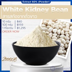 White Kidney Bean Extract (powder) : สารสกัดจากถั่วขาว(ผง)