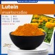 Lutein Extract 5% (Powder) : สารสกัดดาวเรือง(ผง)